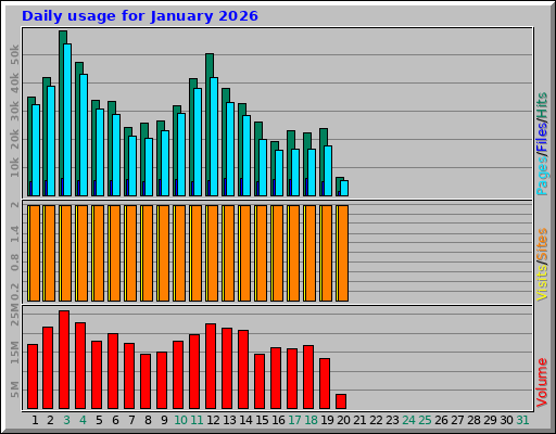 Daily usage for January 2026